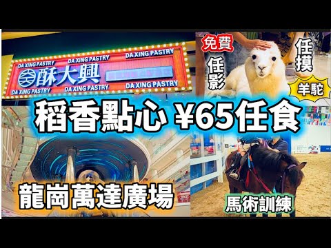 深圳一日遊EP03｜龍崗萬達廣場｜最長扶手電梯｜稻小厨自助｜Travel to Shenzhen China, USD9 Dim Sum Buffet, 60 meter long escalator