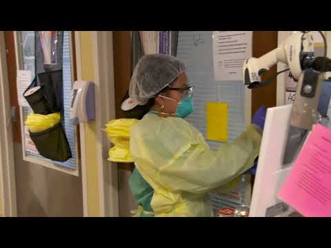 Hochul Hospitalizations