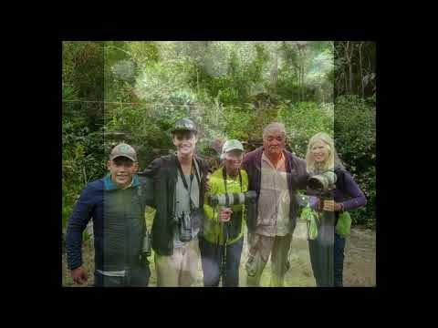 Santa Marta, Magdalena, Colombia- El Dorado ProAvers Reserve