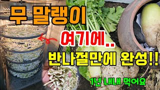 무 오래 먹으려면 이렇게 해보세요 일년내내 반찬 걱정이 싹 사라집니다 #무말랭이
