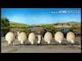 SHAUN THE SHEEP FLOCK DANCE 4 MINUTE