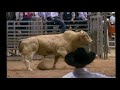 PBR 1994 Bodacious Bucks Off Clint Branger