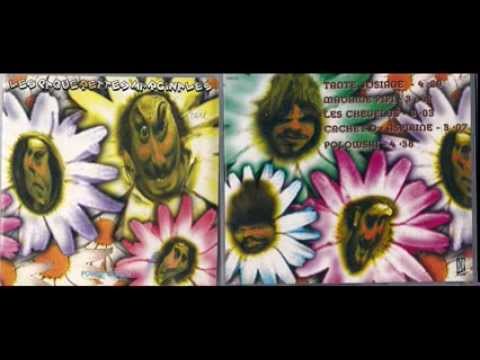 Les Paquerettes Marginales