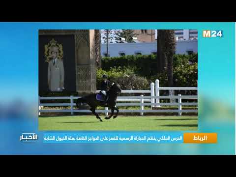 الرباط.. الحرس الملكي ينظم المباراة الرسمية للقفز على الحواجز الخاصة بفئة الخيول الشابة