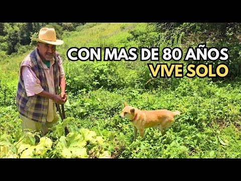 "De varios hijos ninguno me acompaña"