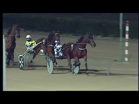 Ippodromo dei Sauri - 7' corsa del 5.3.2023