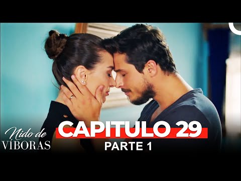 Nido De Víboras Todos Los Capítulos 29 Parte 1