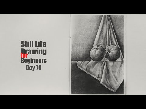 Drawing for Beginners Step by Step | Day 011 Part 1 | Basic Pencil Shading Technique Part 1