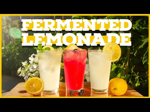 EASY Fermented Lemonade 🍋 [with Probiotics!]