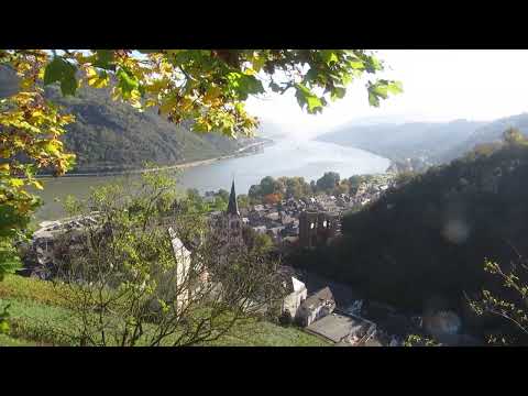 RheinBurgenWeg - Bacharach (2) (19.10.2014)