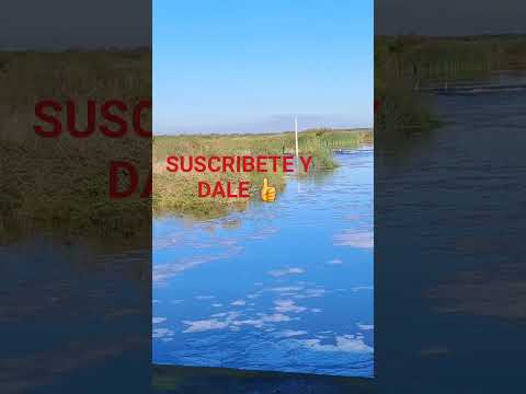 Río Salado Tostado y San Justo Santa Fé.