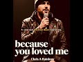 Because You Loved Me Celine Dione Chris A Rainbow