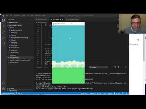Flappy bird clone in Python/Pygame