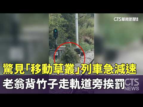驚見「移動草叢」列車急減速　老翁背竹子走軌道旁挨罰