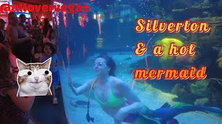 Silverton Lodge & Casino April 2023