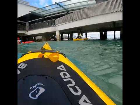 Under the ferry terminal #seakayaking #choppy #gopro #newzealand