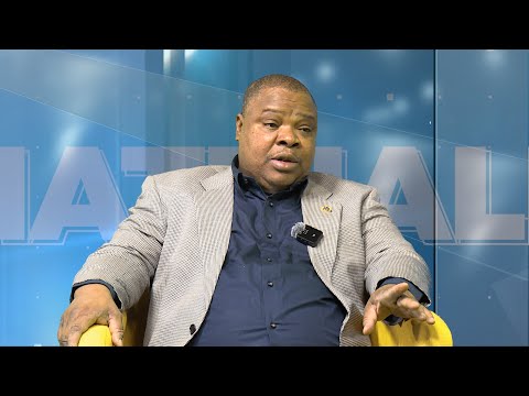 🛑Renaud Agbodjo, Judes Lodjou : duo candidat du parti "Les démocrates"