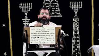 זבחים דף ו' ע''א ¤ הרב נתנאל אברז'ל ¤ בית הכנסת "בית מרדכי" (מוסדות תורת דוד) - התמונה מוצגת ישירות מתוך אתר האינטרנט יוטיוב. זכויות היוצרים בתמונה שייכות ליוצרה. קישור קרדיט למקור התוכן נמצא בתוך דף הסרטון