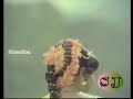 Enadi Mniyamma Gramiya Paadal