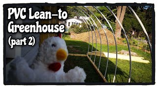PVC Lean-to Greenhouse Build - Part 2 - Back Wall + Hoops