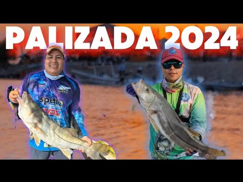 Los ROBALOS mas GRANDES se PESCAN en este TORNEO // Pesca de Robalo PALIZADA 2024
