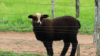 Nothing left to lose - Alan Parsons Project