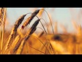 Gui Boratto - This Is Not The End