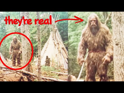 3 Most Terrifying Bigfoot Encounters Seen To Date -  Sasquatch Encounter Stories