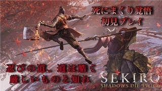 【SEKIRO】死にまくる忍び