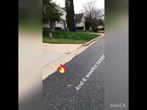 FIX AN UGLY LAWN with OVERSEEDING and RESULTS