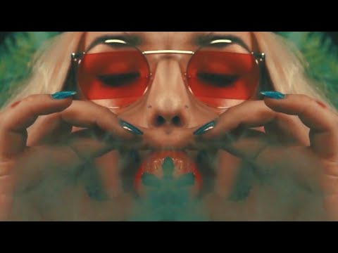 Gras in der Luft (The Belgian Stallion RMX) [VIDEO] - Crystal F KDM Shey Nils Davis Tamas zero/zero