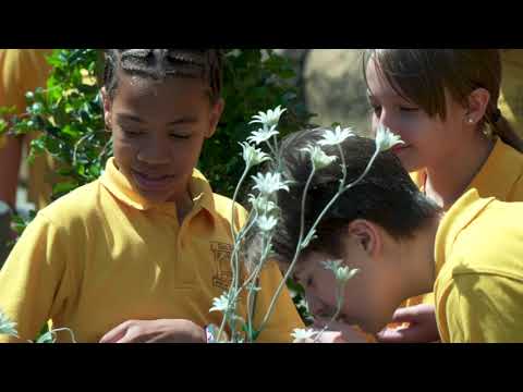 New school excursion at Museum of Sydney: Garuwanga Gurad