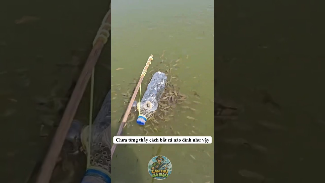 Chưa từng thấy cách bắt cá nào đỉnh như vậy