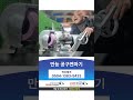 만능공구연마기, 만능공구연삭기 동영상 썸네일