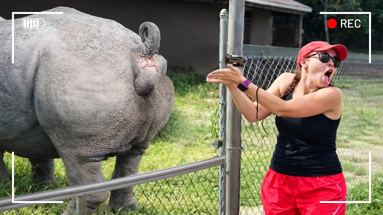 لحظات لم تُسجل من قبل! لن تصدق ما فعلته هذه الحيوانات أمام الكاميرا! لم يسبق ر?