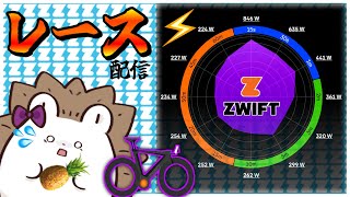 【超短距離レース×4本】逃げかスプリントか！？パワー勝負のTiny Raceリベンジ！【Zwift】