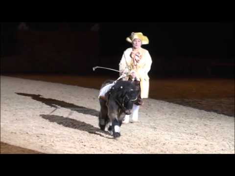 Thorax 3 Haselnüsse