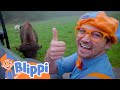 Blippi Visits The Wildlife Park Learn About Animals Animals For Kids Blippi
