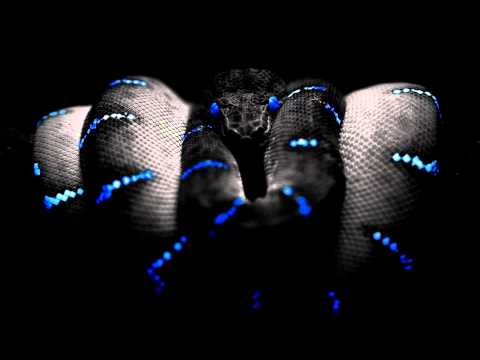 Avicii vs Nicky Romero I Could Be The One Alari & Chris Dega Bootleg Mix