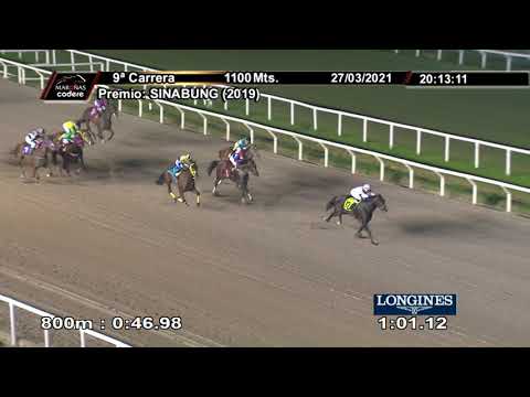 210327 c09 MARSALA T