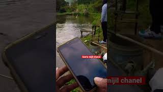 Download lagu Iwak sak kebo mp3