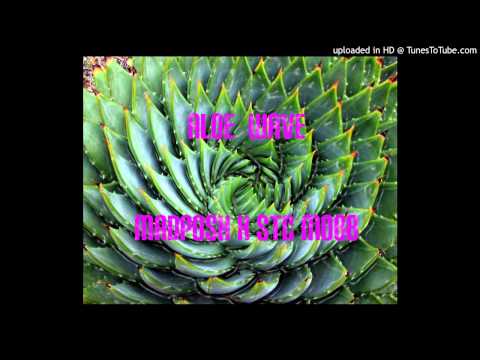 Aloe Wave - Franki Don X Frankie B. X Joy Bandini