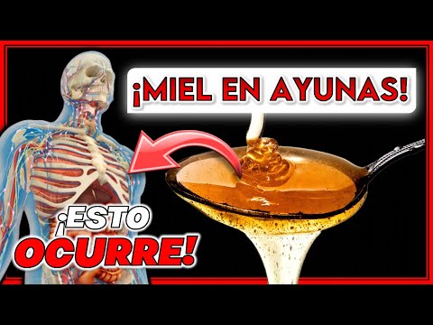 Qué pasa si tomo una CUCHARADA de MIEL en AYUNAS || ¡Beneficios que DESCONOCIAS!