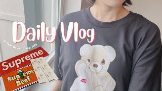 [ アメリカの暮らし ] Supreme Summer Tees 25SS Bear🐻が届いたりの数日間Vlog | ワシントン ウドバー・ハジー・センター