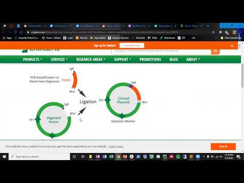 PCR Primer Designer Using Python