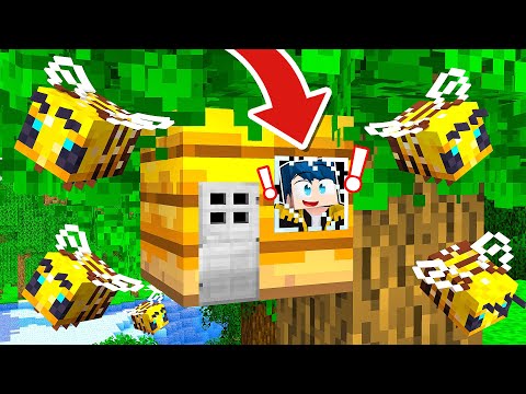COME VIVERE DENTRO UN ALVEARE SU MINECRAFT!