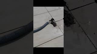 Cleaning a 2 years old washing machine drain hose #shorts