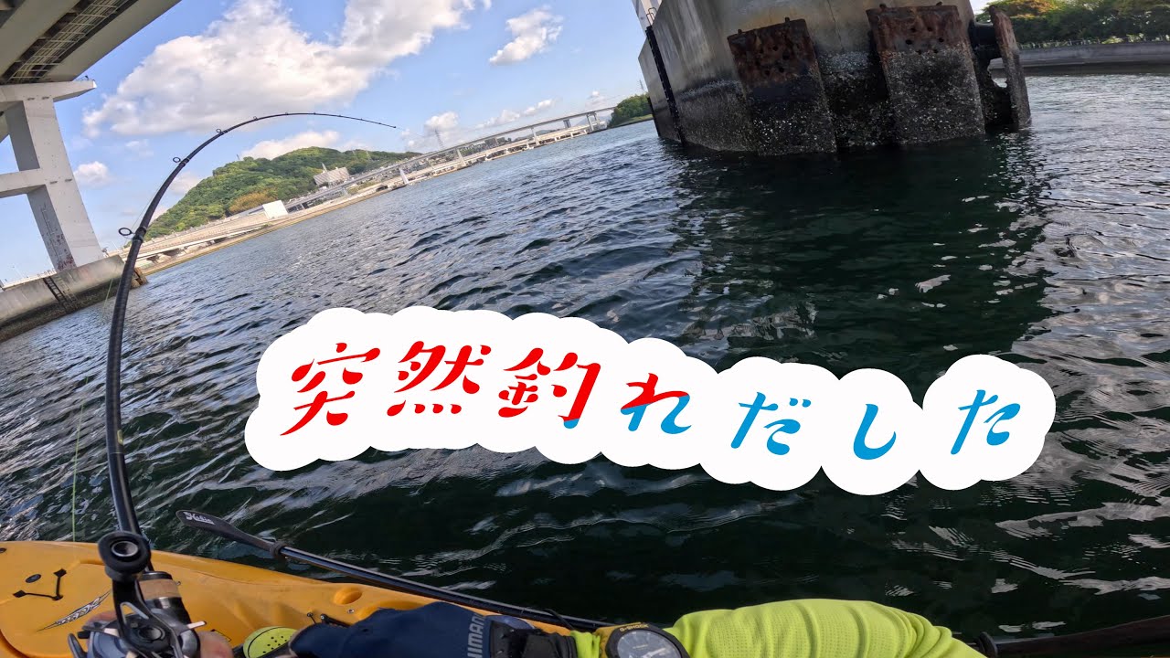 突然釣れだした　チヌ・シーバス