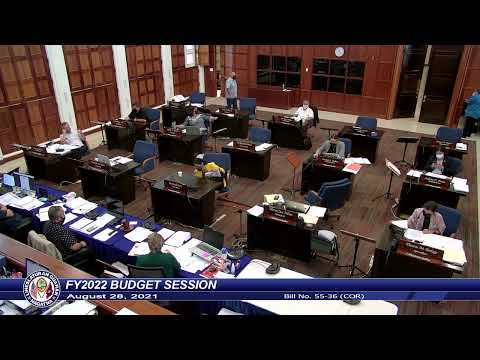 36th Guam Legislature FY2022 Budget Session - August 28, 2021 PM Pt.2