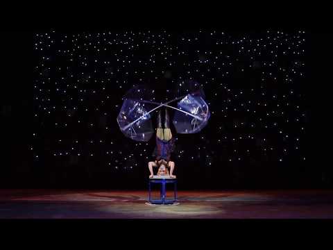 Antipod UMRELLAs promo